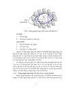 Tối ưu hóa topology cho mạng ngang hàng có cấu trúc chord