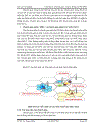 Chuyển giao mềm trong mạng wcdma