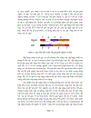 Sắp hàng hoàn chỉnh hai hệ genome