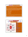 Slide kinh doanh quốc tế công ty đa quốc gia tập đoàn Coca Cola thị trường Trung Quốc thị trường Việt Nam