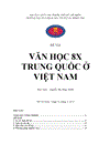 Văn học 8x Trung Quốc ở Việt Nam