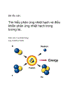 Tìm hiểu phản ứng nhiệt hạch và điều khiển phản ứng nhiệt hạch trong tương lai