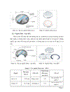 Nguồn phóng xạ