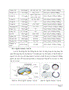 Nguồn phóng xạ