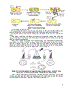 Quá trình biến nạp tải nạp và tiếp hợp ở vi khuẩn