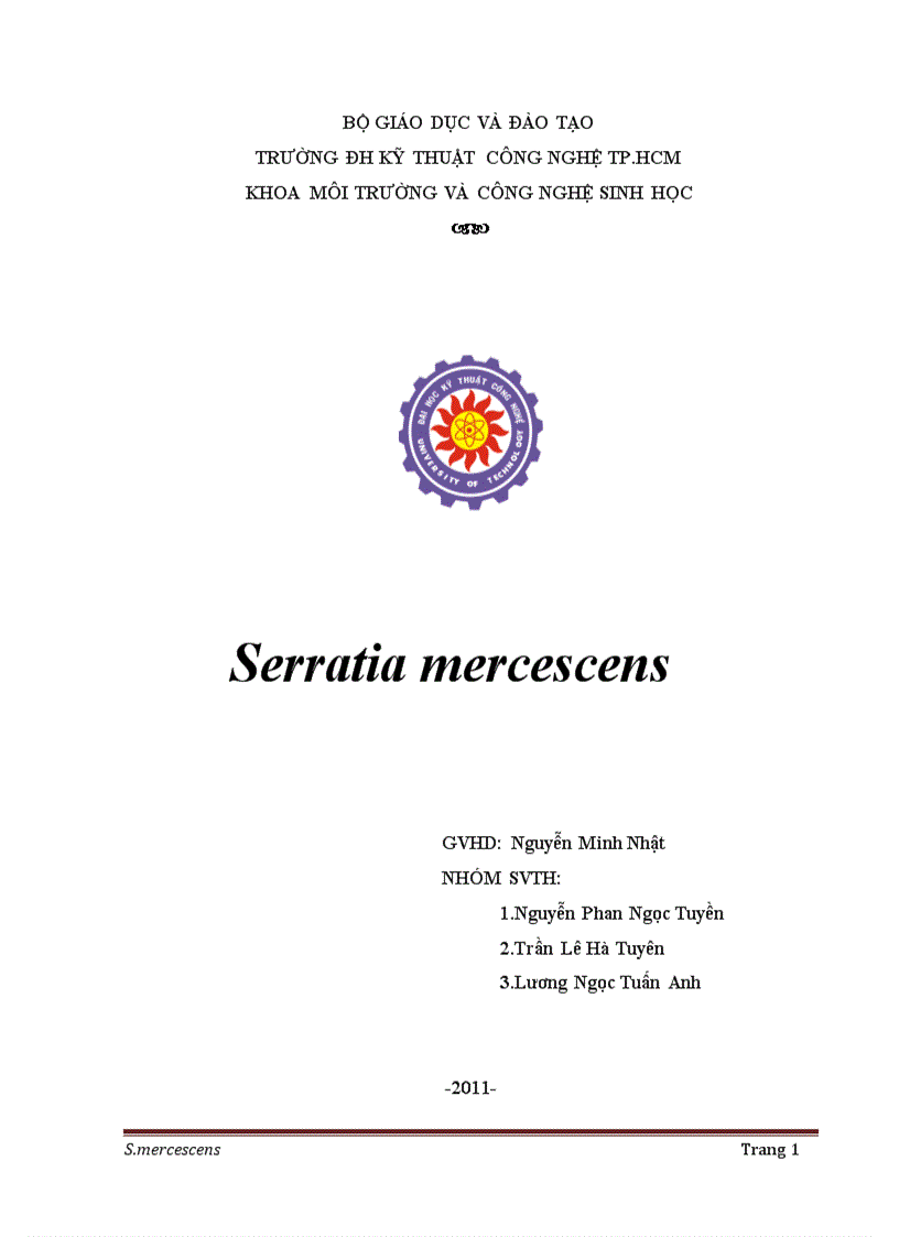 Serratia mercescens