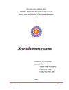 Serratia mercescens