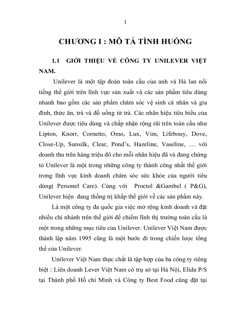 Sự thành công chiến lược marketing của tập đoàn Unilever Việt Nam và bài học cho các doanh nghiệp Hóa Mỹ Phẩm của Việt Nam