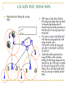 Giao thức định tuyến nguồn động dsr giải pháp định tuyến cho mạng hình lưới không dây wmn