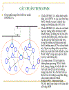 Giao thức định tuyến nguồn động dsr giải pháp định tuyến cho mạng hình lưới không dây wmn