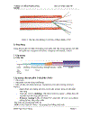 Báo cáo thực tập cáp viễn thông
