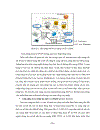 Nghiên cứu cấu trúc mạng thế hệ mới ngn của việt nam