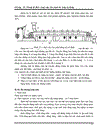 PLC trạm trộn bê tông thương phẩm