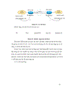 Ipv6 và định tuyến trong mạng ipv6