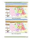 Quản lý hệ thống cây xăng ứng dụng công nghệ GIS