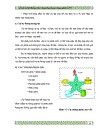 Quản lý hệ thống cây xăng ứng dụng công nghệ GIS