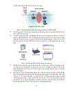 Tìm hiểu công nghệ mạng không dây và mobile wimax