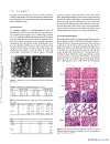 Polysaccharides and applications