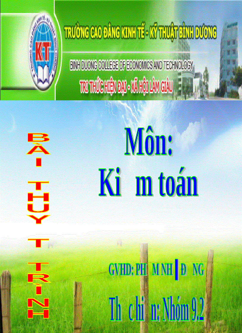 Thuyết trình môn kiểm toán