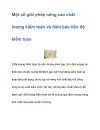 Một số giải pháp nâng cao chất lượng kiểm toán và đảm bảo tiến độ kiểm toán Chất