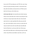 Một số giải pháp nâng cao chất lượng kiểm toán và đảm bảo tiến độ kiểm toán Chất