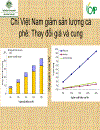 Tác động của sản xuất cà phê Việt Nam tới thị trường thế giới