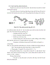 Nuôi trồng và xác định thành phần amino acid của một số loài nấm bào ngư Pleurotus spp bằng kỹ thuật sắc ký lỏng cao áp HPLC