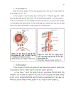 Thử nghiệm sản xuất kháng huyết thanh kháng vi khuẩn E coli