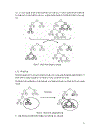 Dùng genetic programming giải bài toán symbolic regression