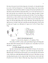 Đánh giá tình trạng nhiễm bệnh virus Cucumber Mosaic Virus Tobacco Mosaic Virus và Tomato Spotted Wilt Virus trên cà chua Solanum lycopersicum ở tỉnh Lâm Đồng bằng kỹ thuật ELISA và bước đầu xây dựng quy trì