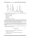 Phân tích huỳnh quang tia x