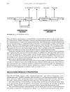 Công nghệ mới Meyers Handbook Petroleum Refining Processes