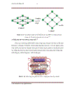 Nghiên cứu điều chế một số ligand họ Pyridinium làm tiền chất để tổng hợp MOFs