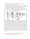 Dự báo tốc độ tăng trưởng kinh tế Việt Nam Sự vượt trội của mô hình Mạng thần kinh nhân tạo ANN so với mô hình Hồi quy tuyến tính truyền thống