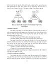 Công nghệ DVB H và truyền hình di động