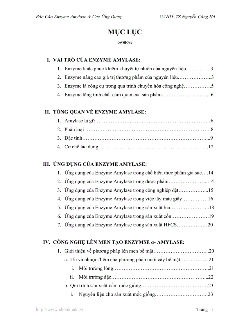 Báo Cáo Enzyme Amylase Các Ứng Dụng