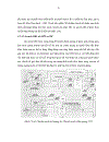 Chất lượng dịch vụ trong mạng IP trên WDM