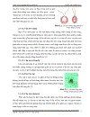 Khảo sát môi trường tăng trưởng tối ưu và kiểm tra định tính lipid của vi tảo Tetraselmis