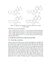 Ảnh hưởng của Aflatoxin lên tỉ lệ sống và tốc độ tăng trưởng cá tra Pangasius hypophthalmus