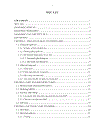 Kỹ thuật dấu tin trong ảnh dựa trên MBNS Multiple base notational system