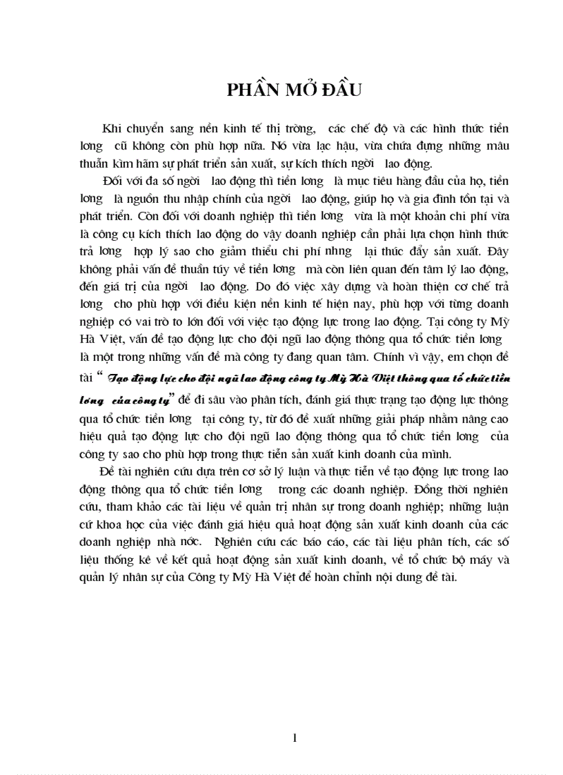 Tạo động lực cho đội ngũ lao động công ty Mỳ Hà Việt thông qua tổ chức tiền lương của công ty