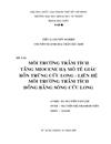 Môi trường trầm tích tầng miocene hạ mỏ tê giác bồn trũng cửu long liên hệ môi trường trầm tích đồng bằng sông cửu long