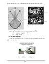 Kỹ thuật vận hành một số thiết bị hạt nhân trong y học theo quy trình của an toàn bức xạ