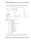 Phân Tích Kích hoạt Neutron