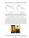 VI KHUẨN OXY HÓA Fe II VÀ KHỬ NITRATE Ở VIỆT NAM TÍNH ĐA DẠNG VÀ TIỀM NĂNG ỨNG DỤNG