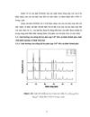 Phân tích công nghệ huỳnh quang hoạt hoá Tricolorphosphor trong sản phẩm đèn cao cấp Điện Quang Maxx 80