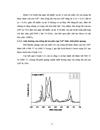 Phân tích công nghệ huỳnh quang hoạt hoá Tricolorphosphor trong sản phẩm đèn cao cấp Điện Quang Maxx 80