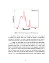 Phân tích công nghệ huỳnh quang hoạt hoá Tricolorphosphor trong sản phẩm đèn cao cấp Điện Quang Maxx 80