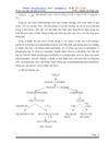 Công nghệ sản xuất acid lactic