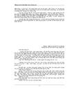 Những yếu tố kích thích trong Quảng Cáo